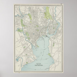 Vintage Map of New Haven Connecticut (1901) Poster