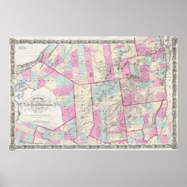 Vintage Map of The Adirondack Mountains (1867) Poster (Front)