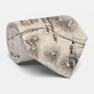 Vintage Map of The White Mountains (1872) Tie