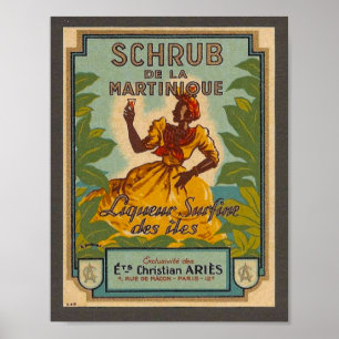 Vintage Martinique Travel Poster