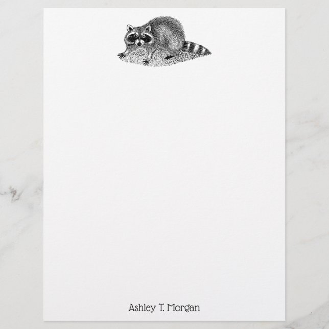 Vintage Masked Racoon (Front)