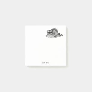 Vintage Masked Racoon Post-it Notes