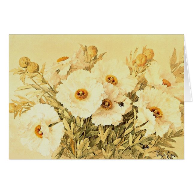 Vintage Matilija Poppies (Front Horizontal)