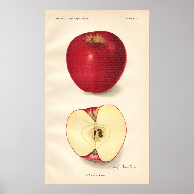Vintage McCroskey Apple Poster (Front)