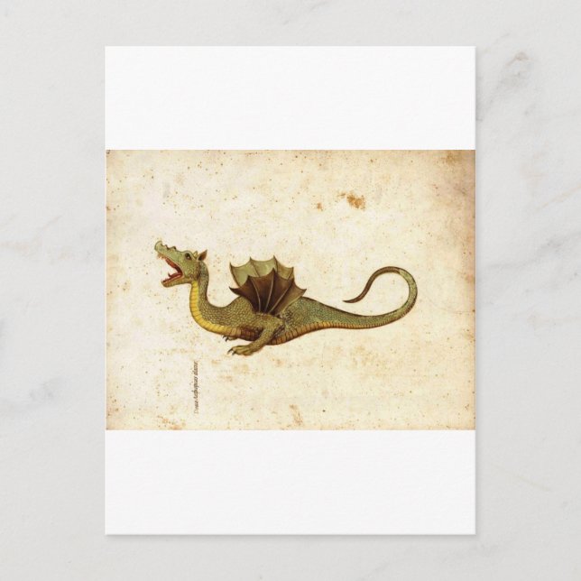Vintage Mediaeval Dragon Design Postcard (Front)