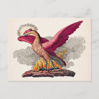 Vintage Mediaeval Phoenix Postcard