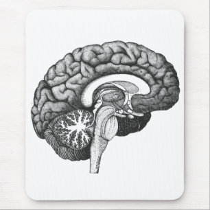 Vintage medical anatomy illustration human brain mouse pad