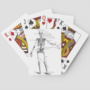 Vintage medical anatomy skeleton doctor diagram playing cards