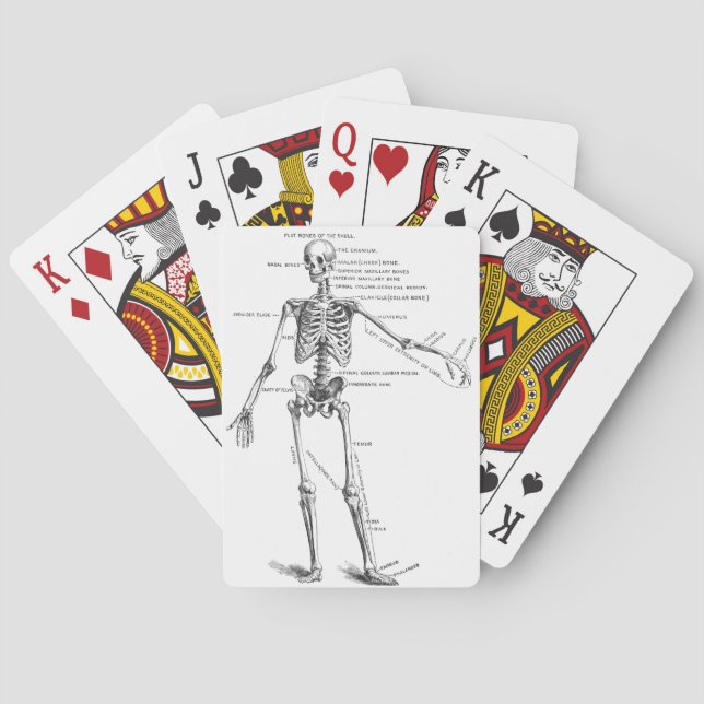 Vintage medical anatomy skeleton doctor diagram playing cards (Back)