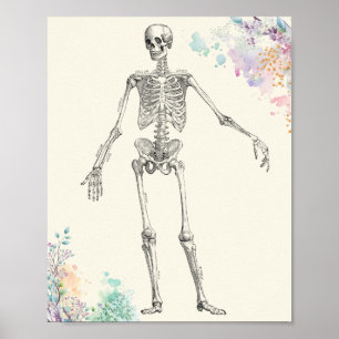 Vintage medical anatomy skeleton flower diagram poster