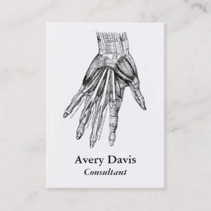 Vintage Medical Drawing Muscles of the Hand Business Card