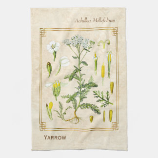 Vintage Medicinal Herb Yarrow Flower Botanical Tea Towel