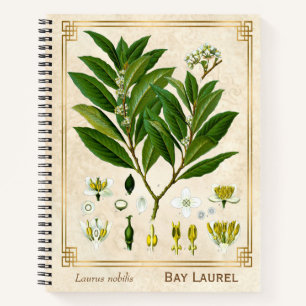 Vintage Medicinal Plant Bay Laurel Herbal Notebook