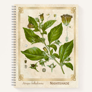 Vintage Medicinal Plant Nightshade Belladonna Herb Notebook