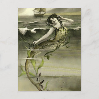 Vintage mermaid picture postcard