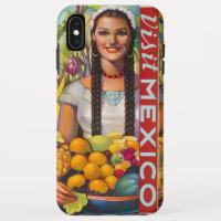 Vintage Mexico Fruit Travel
