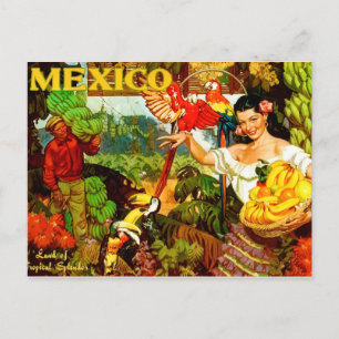 Vintage Mexico Land Of Tropical Splendor Travel Postcard