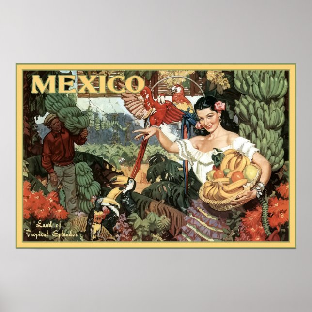 Vintage Mexico Land of Tropical Splendour Travel Poster (Front)