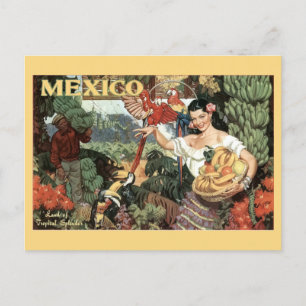 Vintage Mexico Tourism Tropical Colourful Travel Postcard