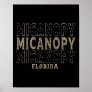 Vintage Micanopy Florida  Poster