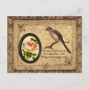 Vintage Mockingbird Postcard