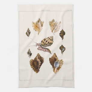 Vintage Mollusks and Snails, Marine Life Organisms Tea Towel
