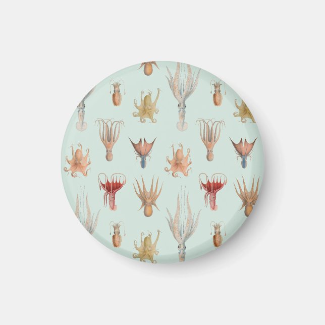 Vintage Mollusks (Blue) Magnet (Front)
