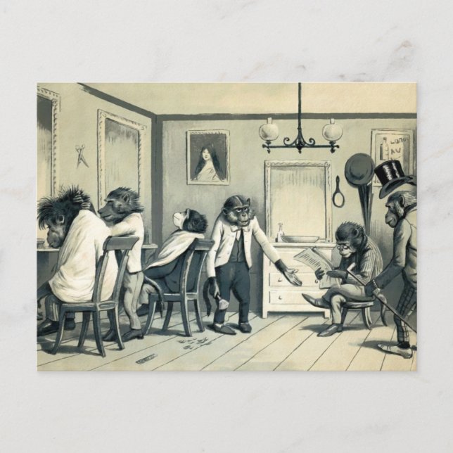 Vintage Monkey Barber Shop Postcard (Front)