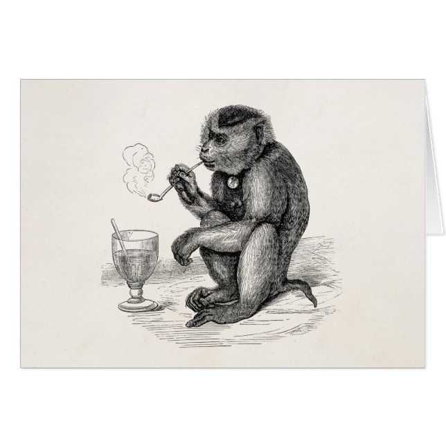 Vintage Monkey Smoking a Pipe Monkeys  Animal (Front Horizontal)