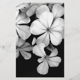 Vintage Monochrome Plumbago Artwork Stationery