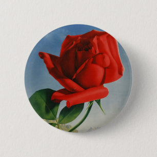 Vintage Montreux Red Rose Switzerland Geneva Lake 6 Cm Round Badge