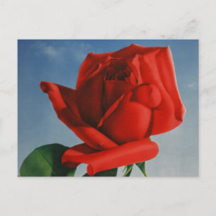 Vintage Montreux Red Rose Switzerland Geneva Lake Postcard