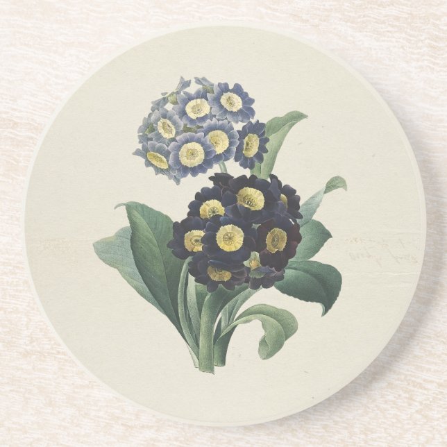 Vintage Moody Blue Auricula Primroses Coaster (Front)