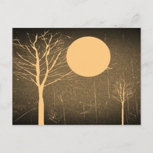Vintage Moon night postcards