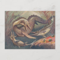 Vintage Mosasaurus vs. Ichthyosaurs Print Two-Tone