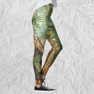 Vintage Moss Plants by Ernst Haeckel, Muscinae Leggings
