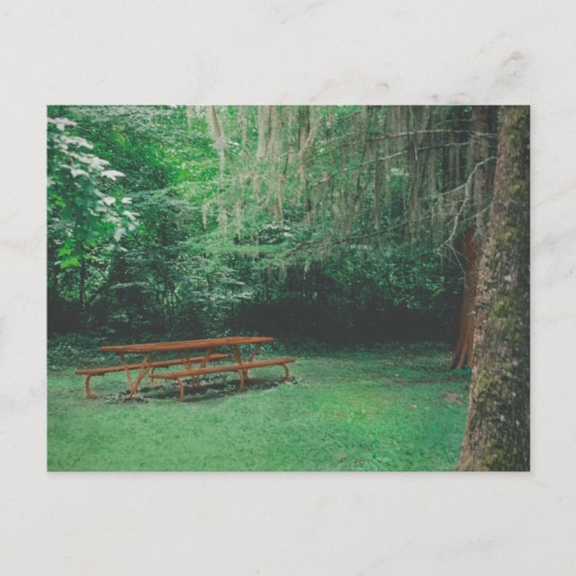 Vintage Mossy Bench Postcard (Front)