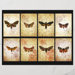 Vintage Moth ATC Scrapbook Cards
