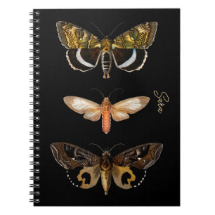 Vintage Moth Butterfly Personalised Notebook