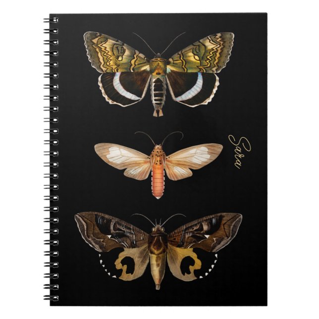 Vintage Moth Butterfly Personalised  Notebook (Front)