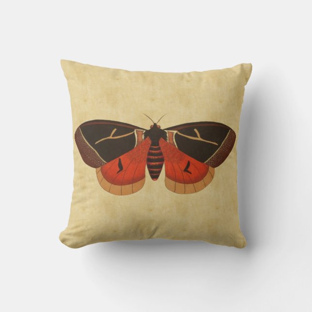 Vintage Moth Cushion (Front)