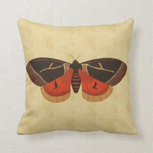 Vintage Moth Cushion