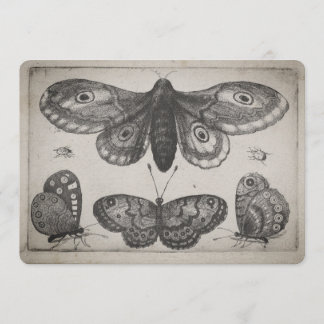 Vintage Moth Lepidoptera Illustration (57) Invitation