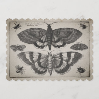 Vintage Moth Lepidoptera illustration (64) Invitation