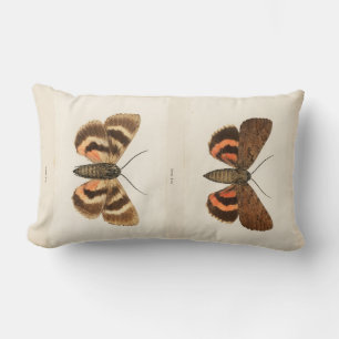 Vintage Moth Lumbar Cushion