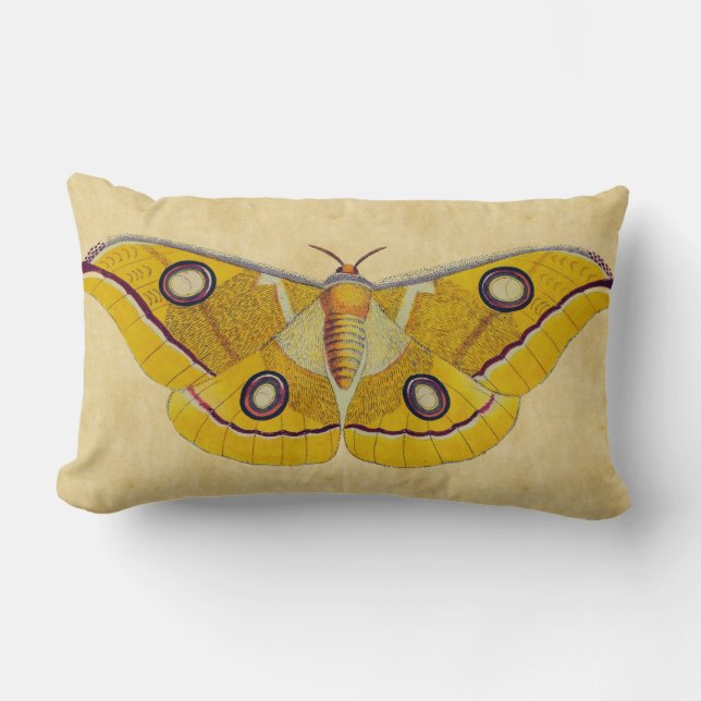Vintage Moth Lumbar Cushion (Front)