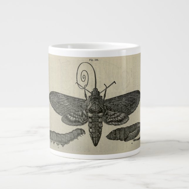 Vintage Moth Metamorphasis Print Large Coffee Mug (Front)