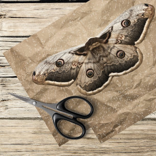 Vintage moth  tissue paper