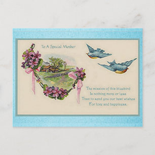 Vintage Mother's Day Bluebirds Postcard