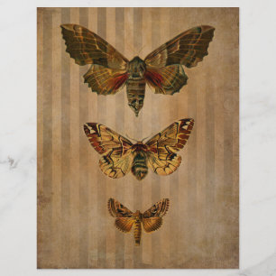 Vintage Moths Scrapbook Ephemera